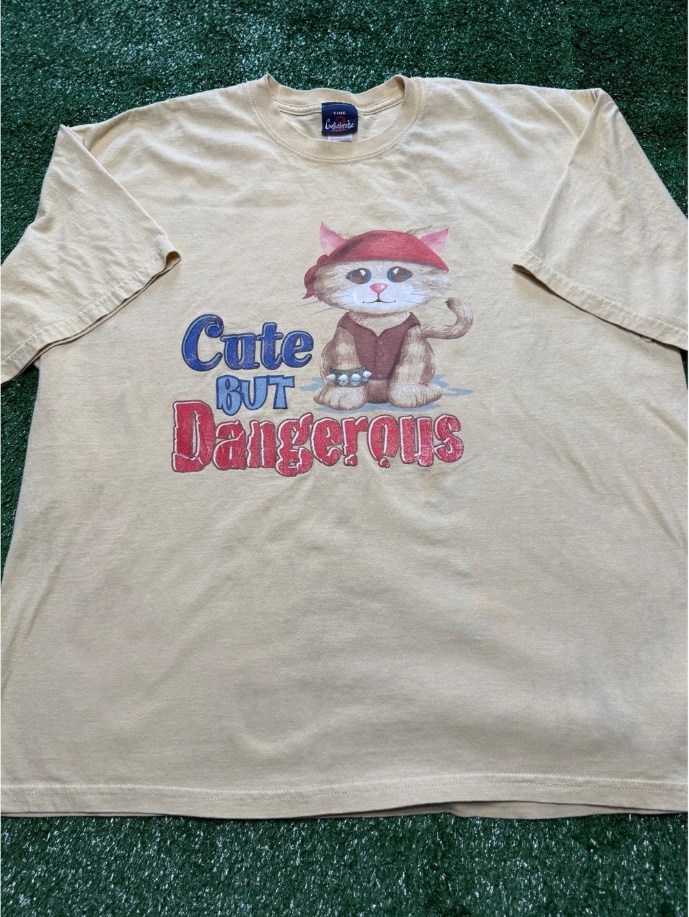 Y2K Cat | Cute But Dangerous Tee | Women's Size 18/20W